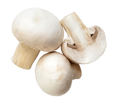 Champignon