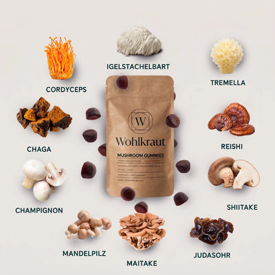 Wohlkraut Mushroom Gummies mit den 10 Vitalpilzen